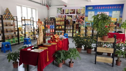 我縣文化精品閃耀張掖敦煌寫經(jīng)書法藝術(shù)節(jié)